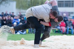 Surentaler Frühjahrsschwinget